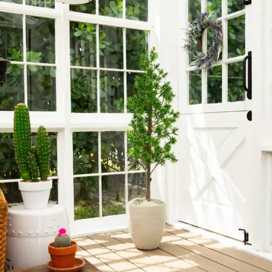 4ft. UV Artificial Podocarpus Artificial Tree (Indoor/Outdoor) {8}