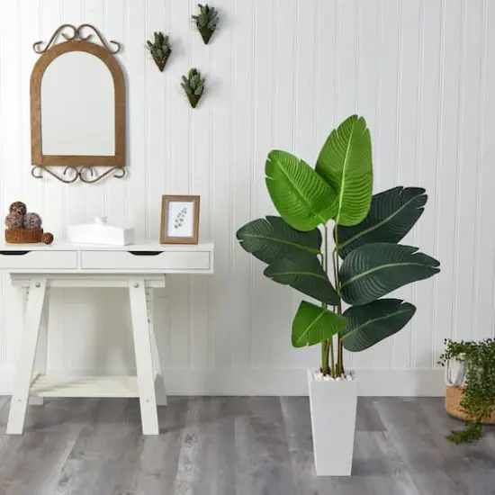 4.5ft. Travelers Palm Tree in White Planter {4}