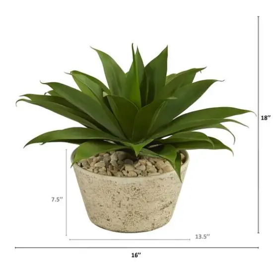 1.5ft. Agave Succulent Plant in White Planter  {3}