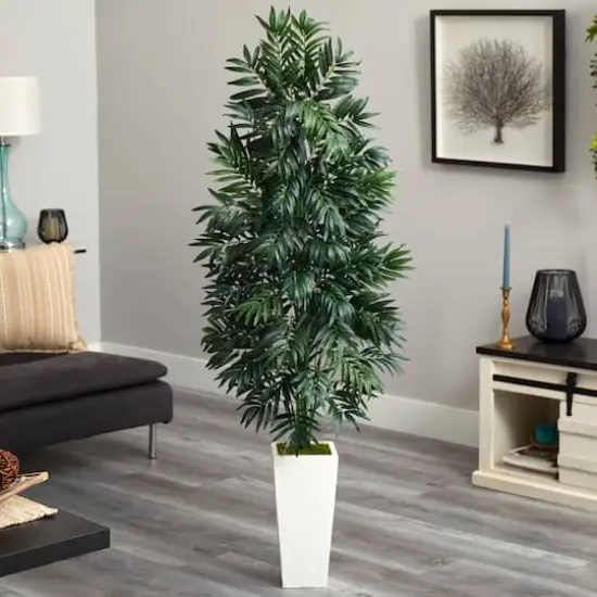 5ft. Bamboo Tree in White Planter {3}