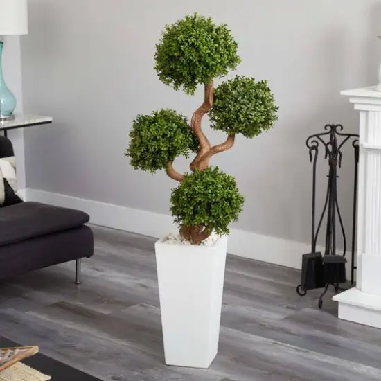4.5ft. Four Ball Boxwood Topiary Tree in Tall White Planter {6}