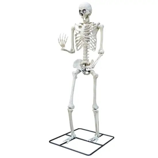 10ft. Oversized Posable Skeleton by Ashland&reg; {1}