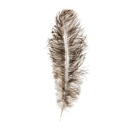 John Bead 11"-13" Ostrich Drab Feather Natural {4}