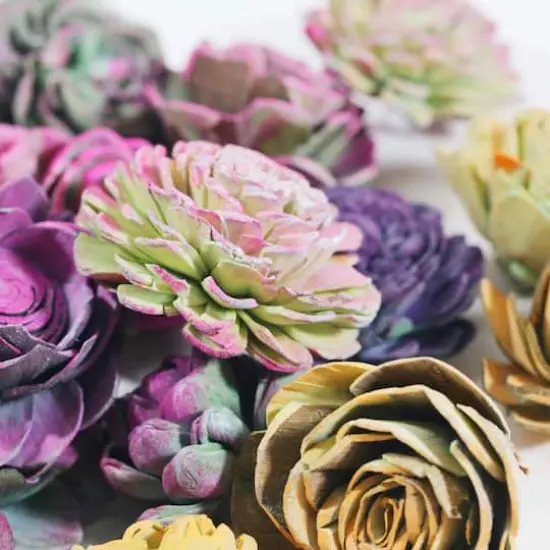 Succulent Bowl Filler by Ashland&reg; {4}