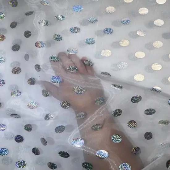 Feldman White with Silver Foil Polka Dots Organza {6}