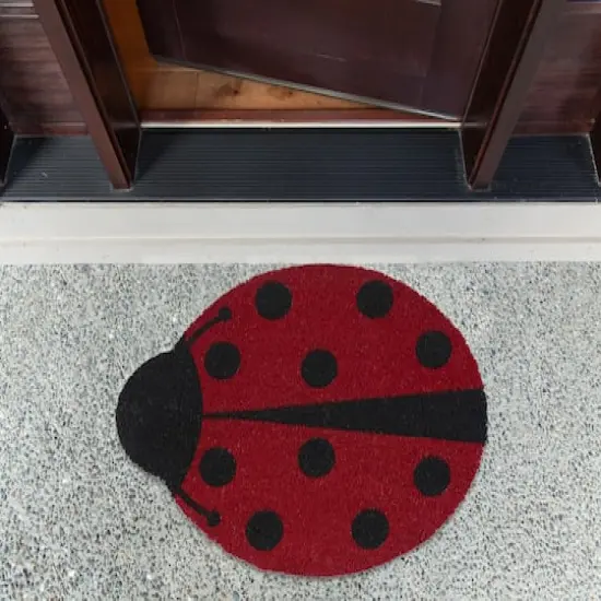 DII&reg; Lady Bug Doormat {6}
