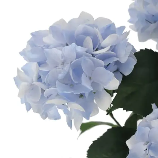 Light Blue Hydrangea Bush by Ashland&reg; {4}