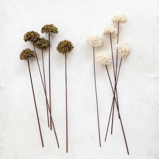 Hello Honey&reg; 23.5" Dried Natural Sesame Flower Stems, 5ct. Cream {3}