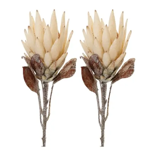 29.25" Red Protea Flower Stems, 2ct. Beige {1}