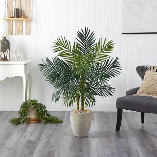 4.5ft. Golden Cane Palm Tree in Oval Planter {3}