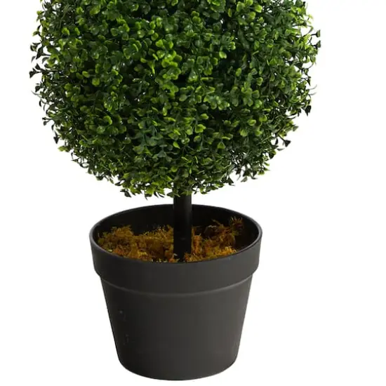 3ft. Potted Boxwood Triple Ball Topiary Tree {6}