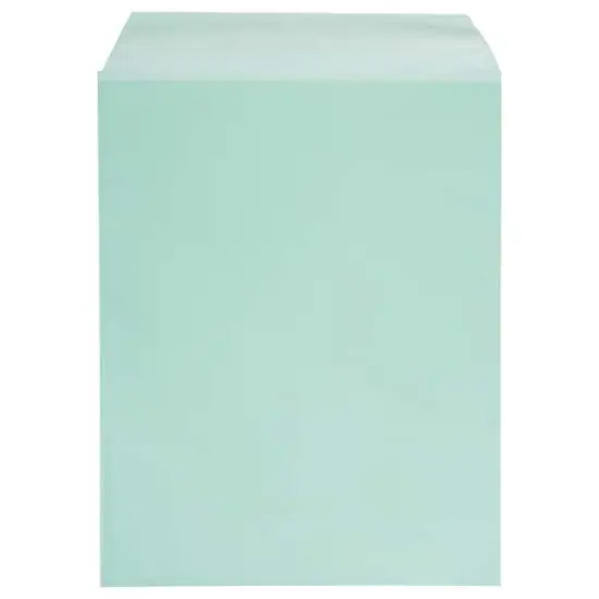 JAM Paper 8.93" x 11.25" Self Adhesive Closure Cello Sleeves, 100ct. Green {5}