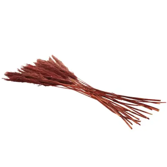 Dried Plant Bamboo Natural Foliage with Long Stems Red {4}