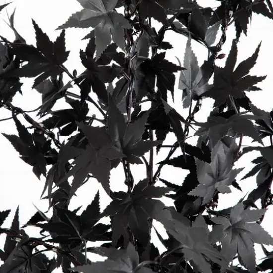 6ft. Pre-Lit Artificial Halloween Black Maple Tree with 300 Orange & Purple LED Lights {6}