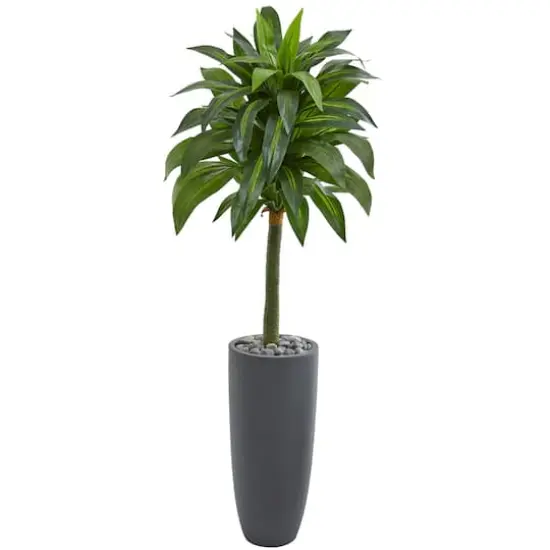 5ft. Dracaena Artificial Plant in Gray Planter {1}