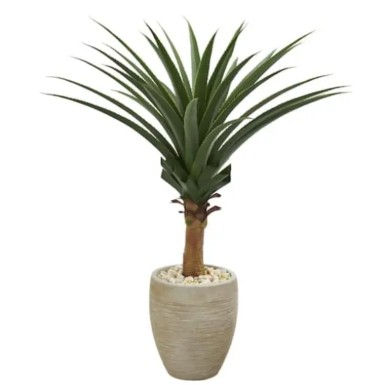 3.5ft. Agave in Sand Colored Planter {1}