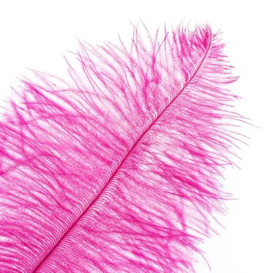 John Bead 11"-13" Ostrich Drab Feather Hot Pink {3}
