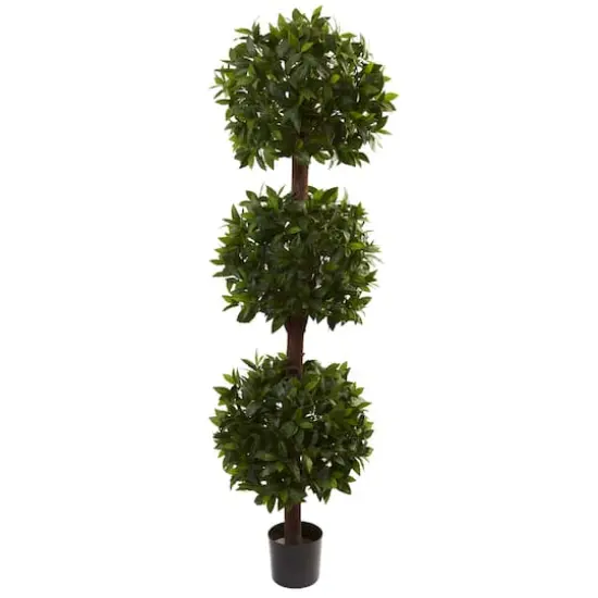6.5ft. Potted Sweet Bay Triple Ball Topiary Plant {1}