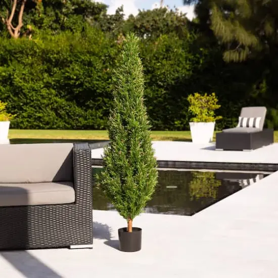 5ft. Potted UV Resistant Rosemary Cone Topiary Tree {3}