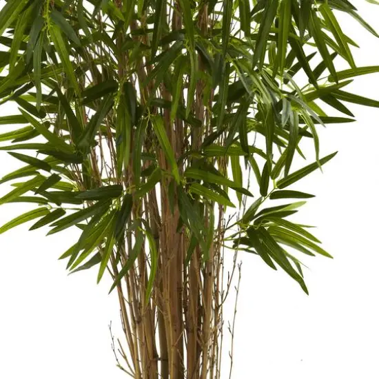 4ft. Potted Twiggy Bamboo Tree {4}