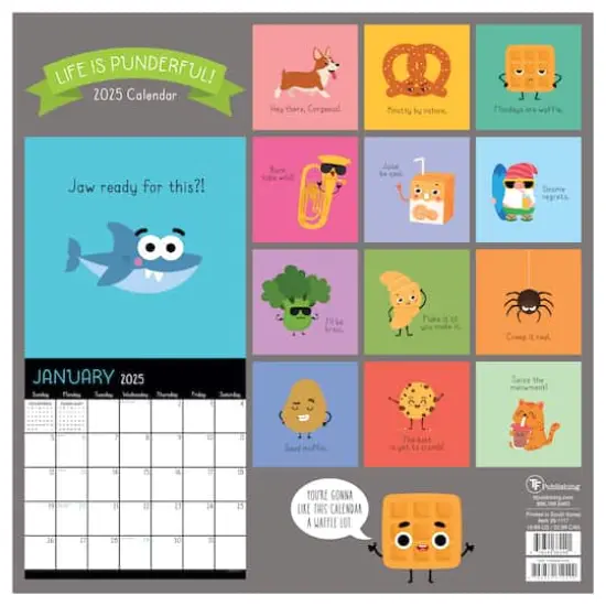 TF Publishing 2025 Puns of Fun Wall Calendar {3}