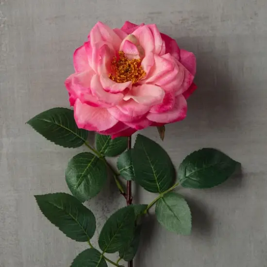 Garden Bloom Orlane Rose Stem Ashland&trade; Pink {3}
