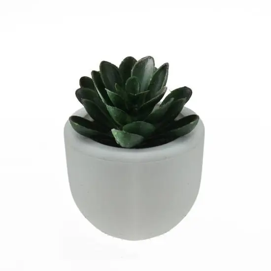 3" Decorative Succulent Planter with White Pot {1}