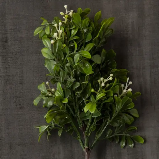 11" Boxwood Pick by Ashland&reg; {4}