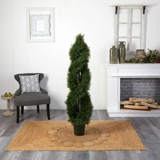 5ft. Potted Double Pond Cypress Spiral Topiary Tree {6}