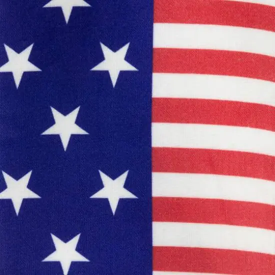 Stars & Stripes Americana Kitchen Tea Towel Set {5}