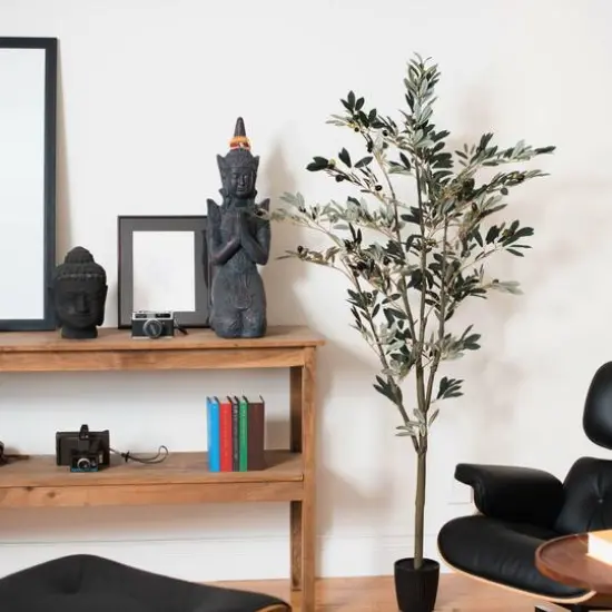 6ft. Potted Olive Tree {8}