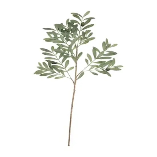 Hello Honey&reg; 36" Faux Olive Branch {1}
