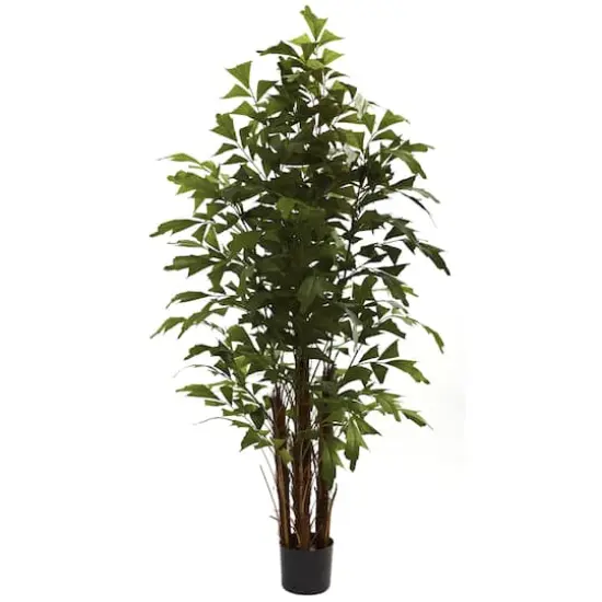 6ft. Potted Fishtail Palm Tree {1}