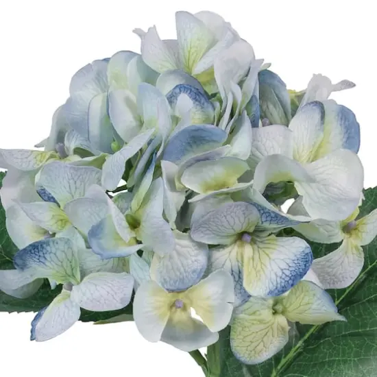 25" Hydrangea Stem by Ashland&reg; Blue and Green {3}