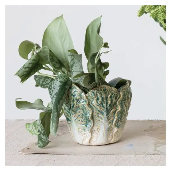 Hello Honey&reg; 5.75" Green Reactive Glaze Embossed Stoneware Cabbage Planter {4}