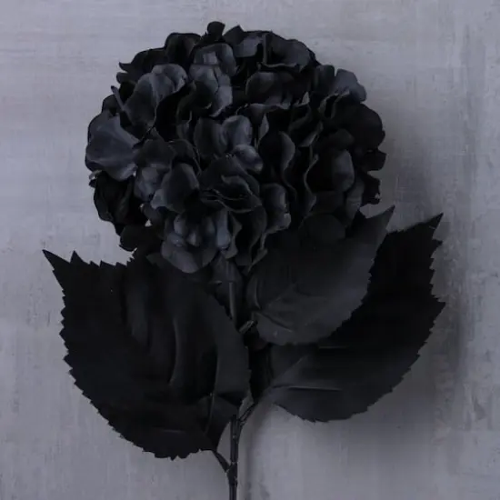 Black Hydrangea Stem by Ashland&reg; {3}
