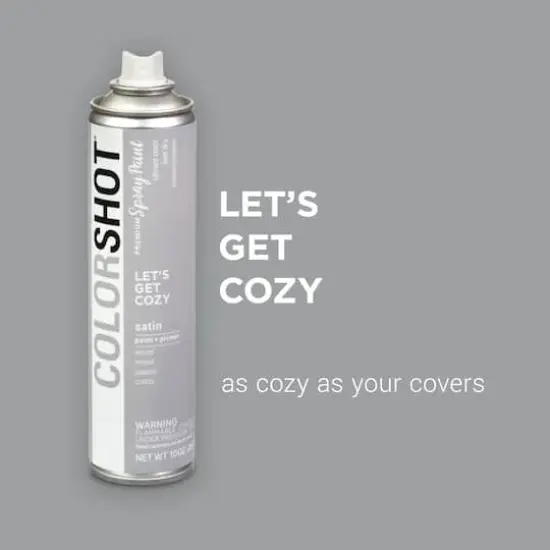 COLORSHOT&reg; Premium Satin Spray Paint Let's Get Cozy {4}