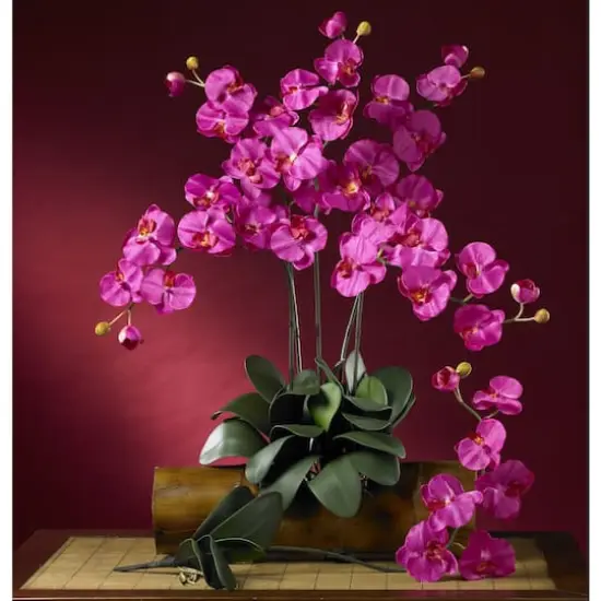 Beauty Pink Moth Orchid Stem, 6ct. {4}