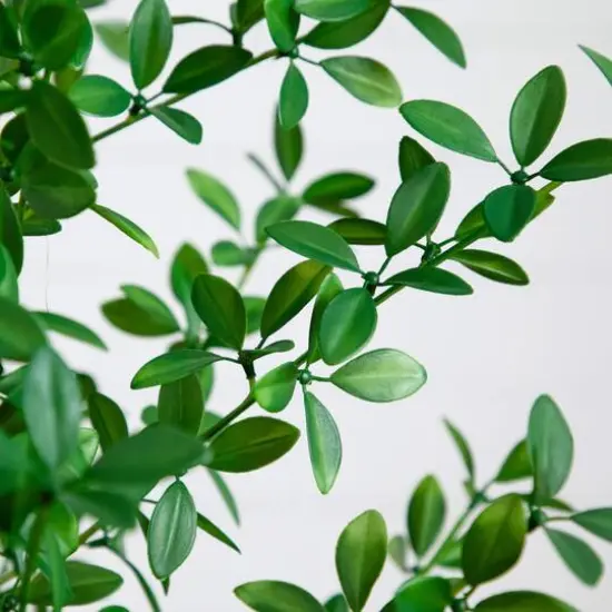 4ft. Artificial Shady Lady Black Olive Tree {4}