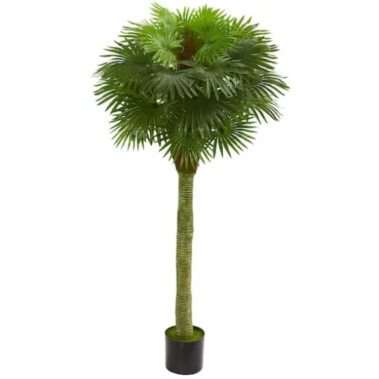 5.5ft. Potted UV Resistant Fan Palm Artificial Tree  {1}