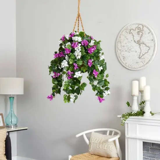 2.5ft. Mixed Bougainvillea in Hanging Basket {6}