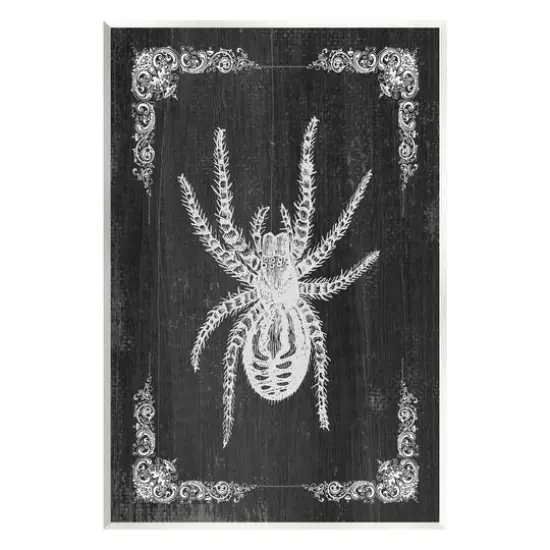 Stupell Industries Black & White Spider Wall Plaque Art {1}