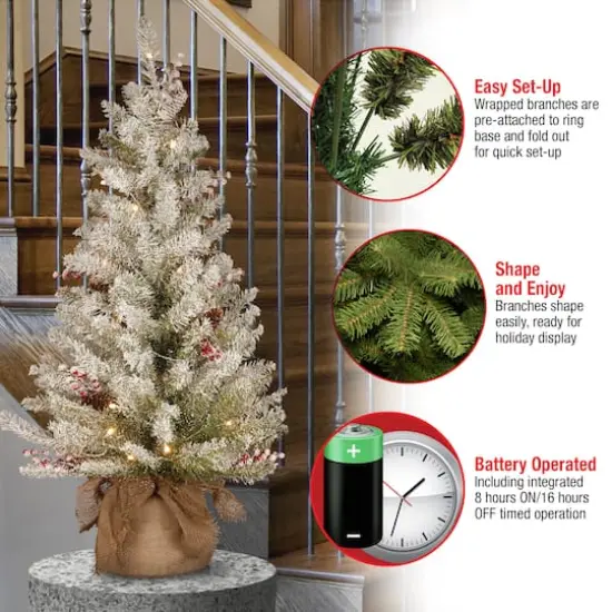 3ft. Pre-Lit Dunhill&reg; Fir Artificial Christmas Tree, Warm White LED Lights {6}