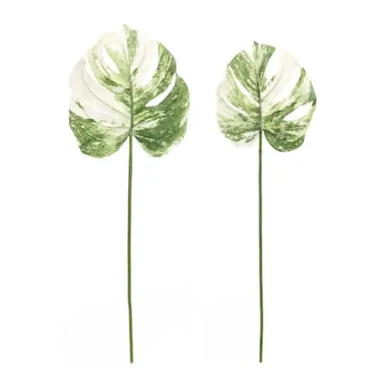 Light Variegated Philo Leaf Stems Set {3}