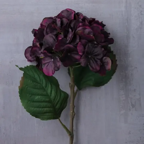 Black & Purple Hydrangea Stem by Ashland&reg; {3}