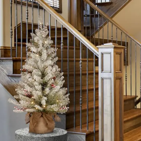 3ft. Pre-Lit Dunhill&reg; Fir Artificial Christmas Tree, Warm White LED Lights {3}