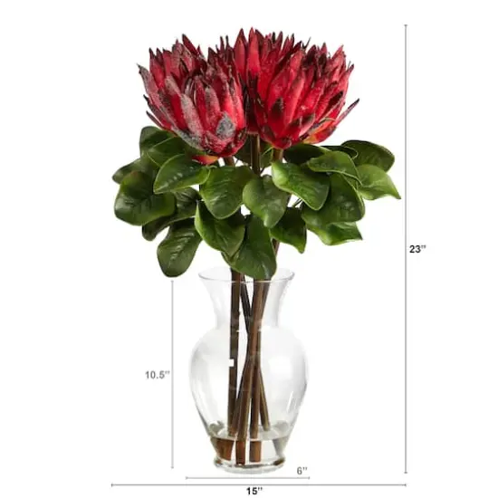 23" Red King Protea Arrangement in Glass Vase {3}