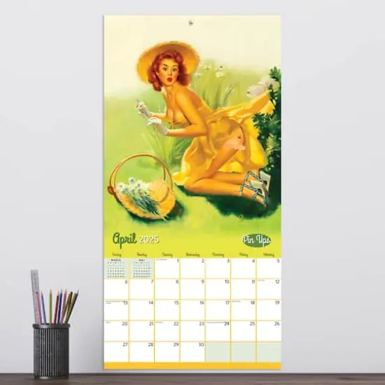 TF Publishing 2025 Pin Ups Wall Calendar {4}