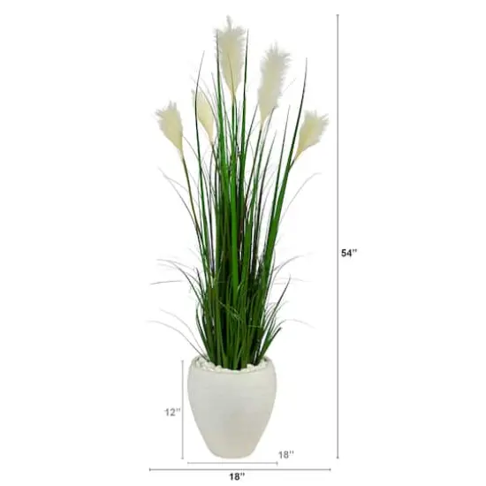 4.5ft. Wheat Plume Grass Plant in White Planter {5}