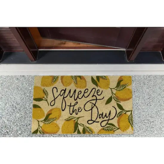 DII&reg; Squeeze the Day Doormat {4}